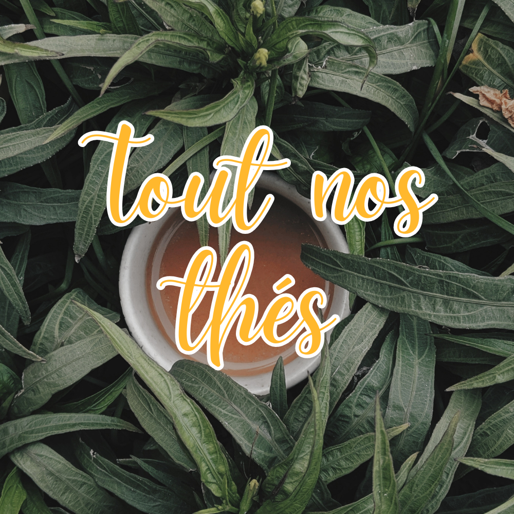Nos différents thés