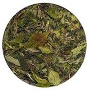 Forêt d’automne (50g)