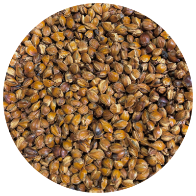 Mugicha bio (100g) - Tisane