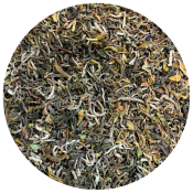 Darjeeling Singell bio SFTGFOP1, 1ère récolte 2024 (50g) - Thé noir