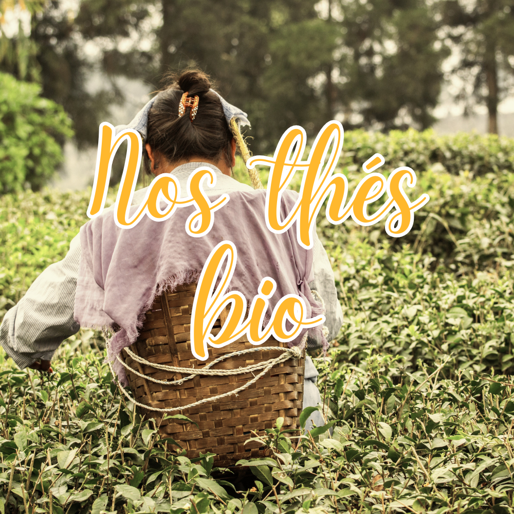 Les thés bio