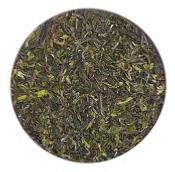 Darjeeling Steinthal bio SFTGFOP1 - 1ère récolte 2023 (50g)