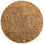 Rooïbos du Cap Bio (100g) - Rooïbos