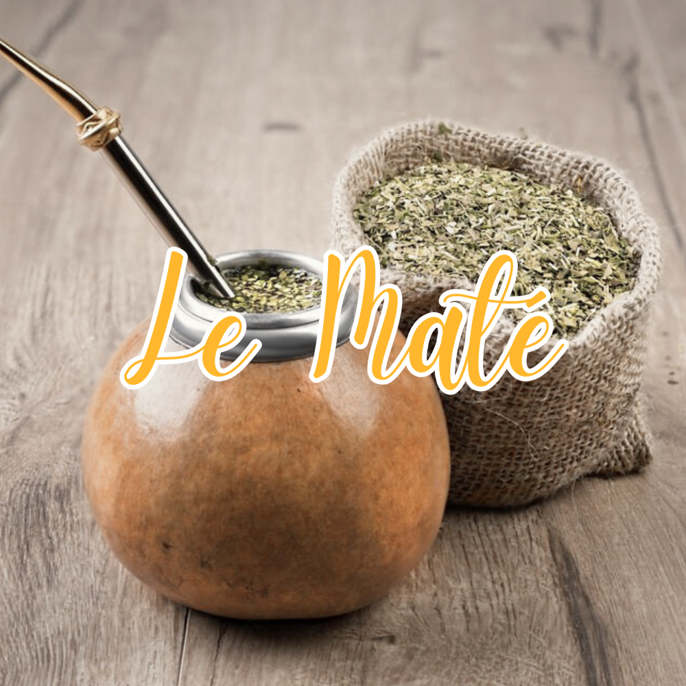 Le maté