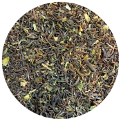 Darjeeling Steinthal bio SFTGFOP1, 1ère récolte 2024 (50g) - Thé noir