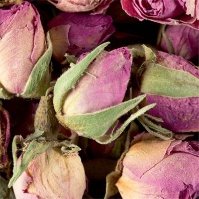 Tisane de boutons de roses-Dammann-Frères (50g)