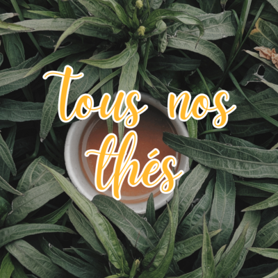 Nos différents thés