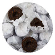 Pu-erh Mini Tuo Cha Shu 2014 (50g) - Thé noir fermenté