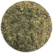 Le Thé des Oasis (100g) - Thé vert