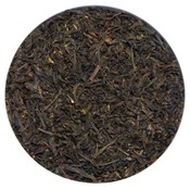 Tarry Lapsang Souchong Bio (100g) - Thé noir fumé